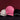 2024  CengLuanDieZhang Custom 5 Panel Cotton Baseball Caps Premium 3D Embroidery Print Logo Fitted Unisex Baseball Sports Cap Hats CengLuanDieZhang